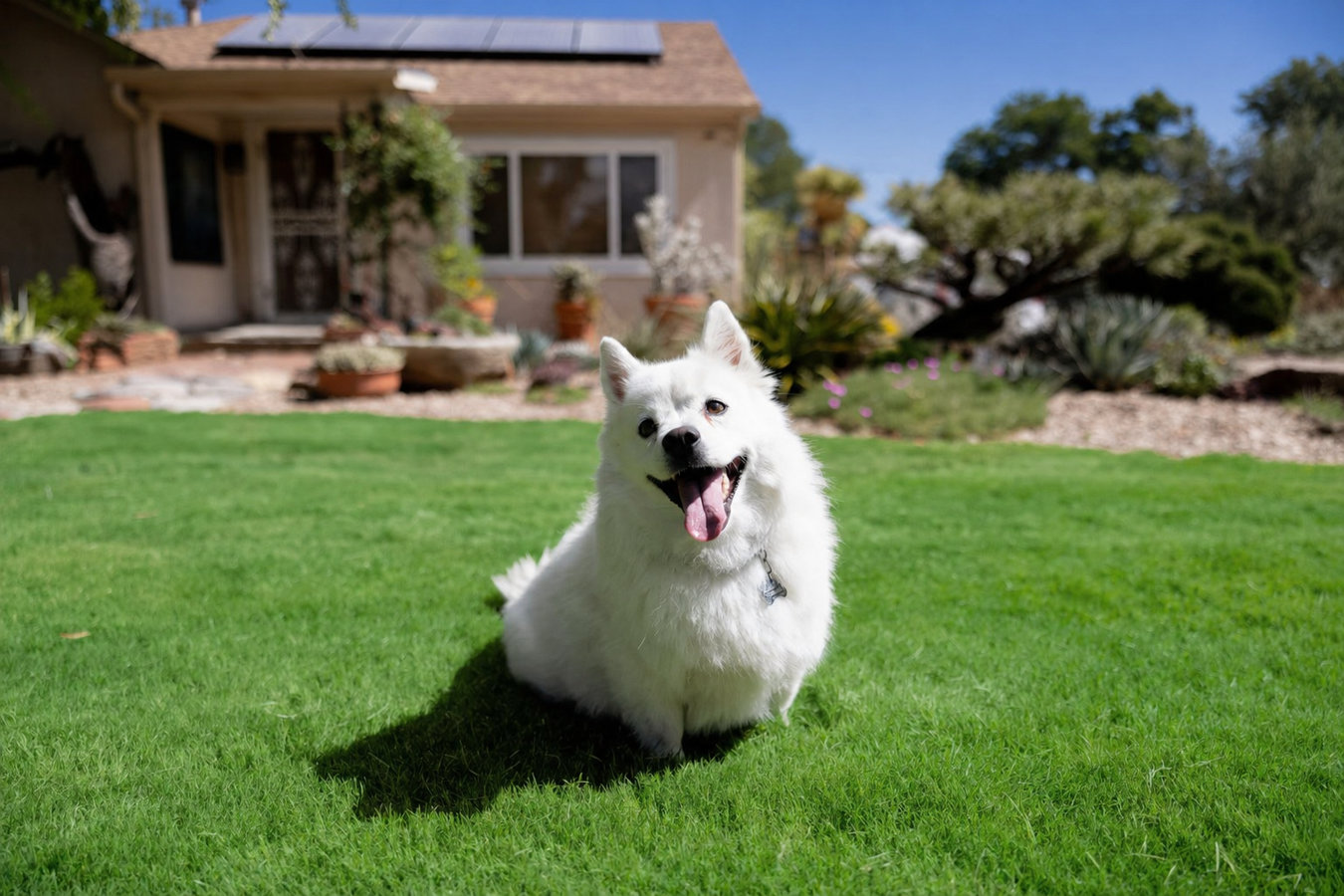 Nacogdoches Artificial Grass Installation - artificial turf installation in Nacogdoches, TX